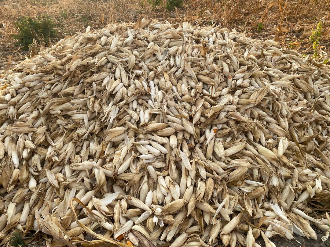 11b73f3d-290d-4acd-b137-1e8940c1c3aa