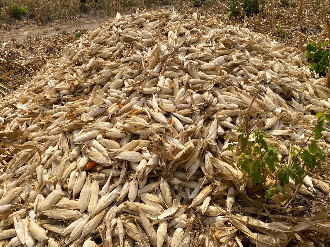 1ee7004e-59e3-4226-83a2-02a67ec9ddaa