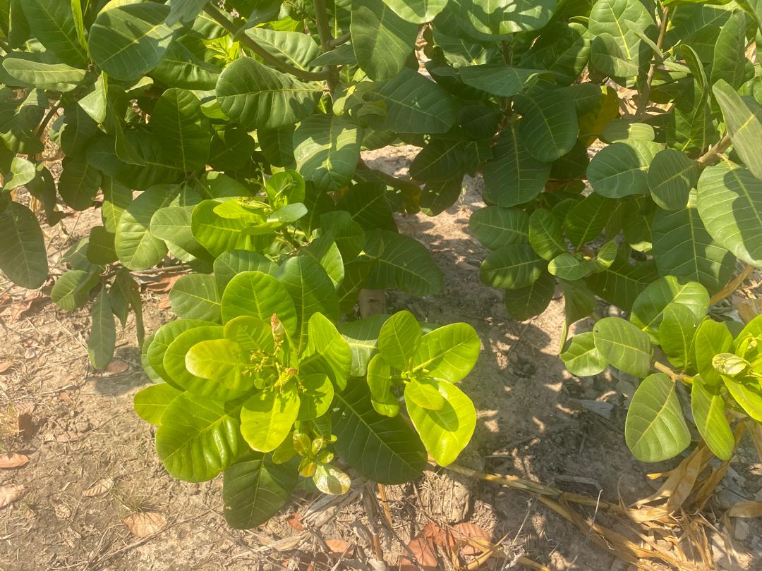 20f27973-ecf8-4c79-b4fb-e18e675ac3f6