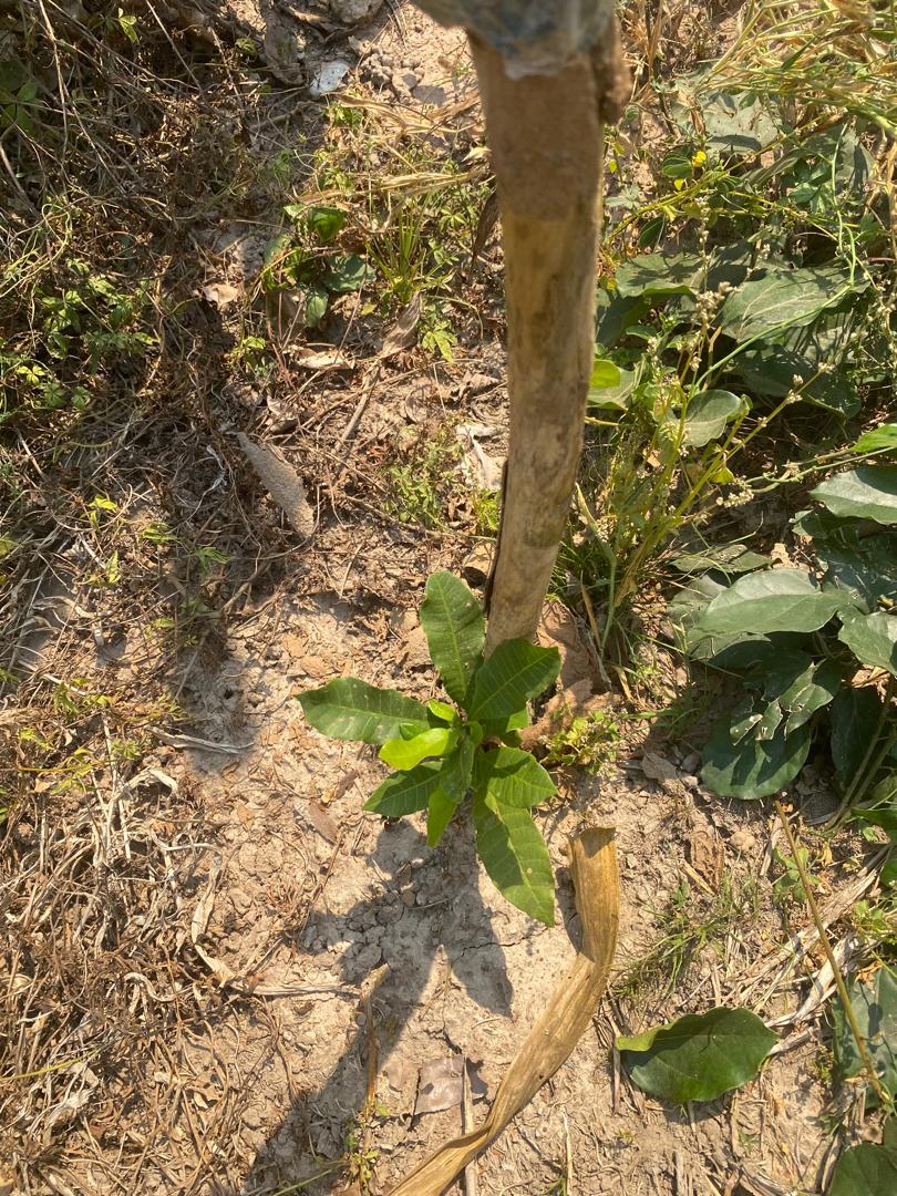 95d674e2-2975-45e6-a9ce-e1e3a2530bae