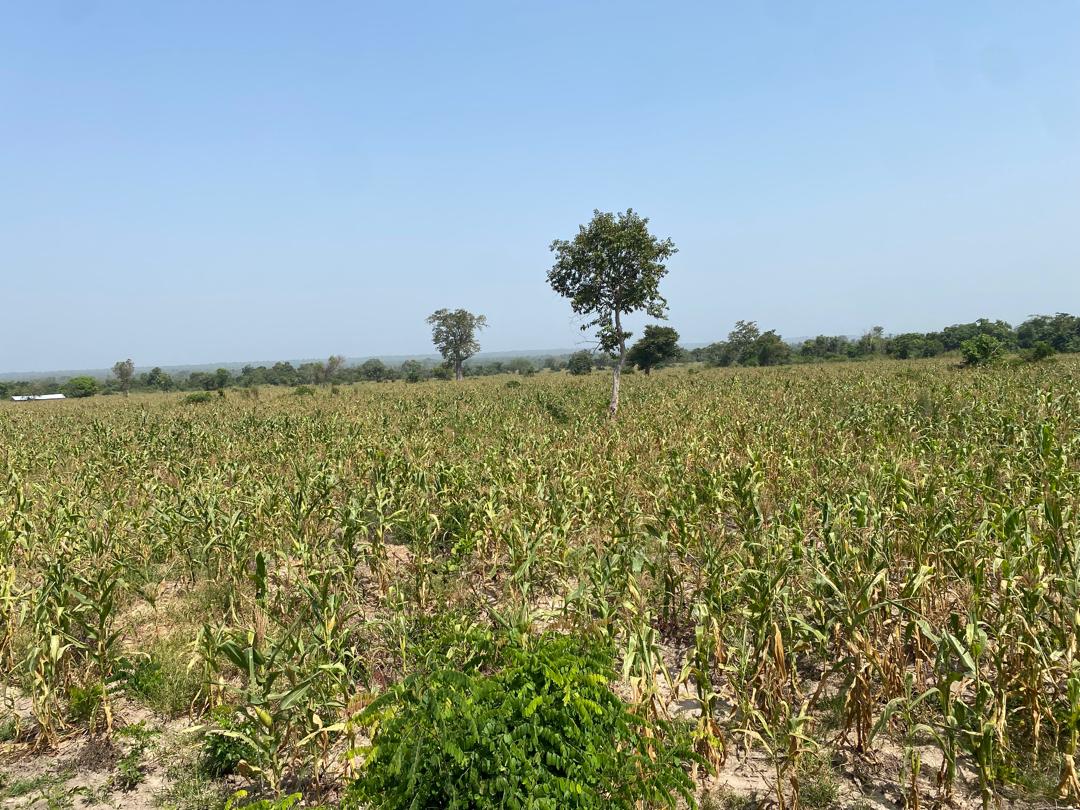 991ce1dc-2020-4c2e-bd4f-46f06078cd4d