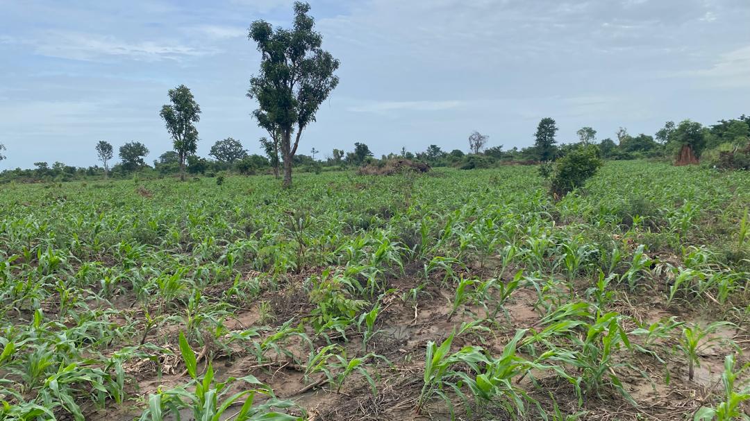 PHOTO-2024-10-13-20-52-07