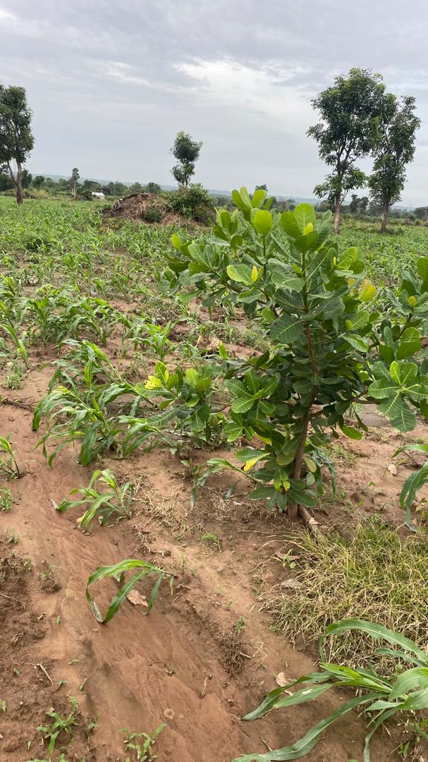 PHOTO-2024-10-13-20-54-28