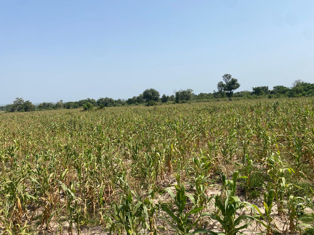 PHOTO-2024-11-23-15-38-35