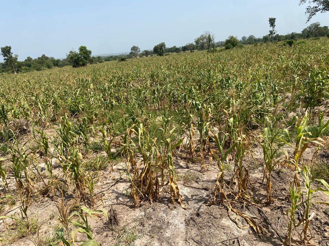 PHOTO-2024-11-23-15-38-46