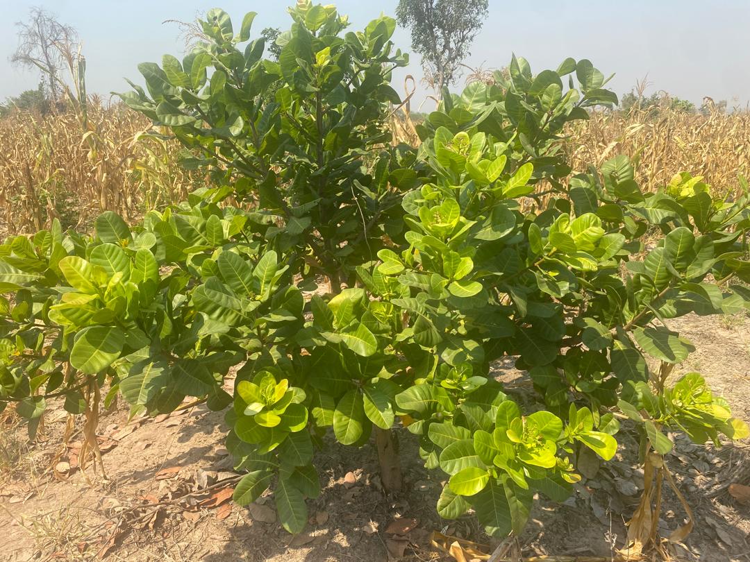 PHOTO-2024-12-15-22-13-40