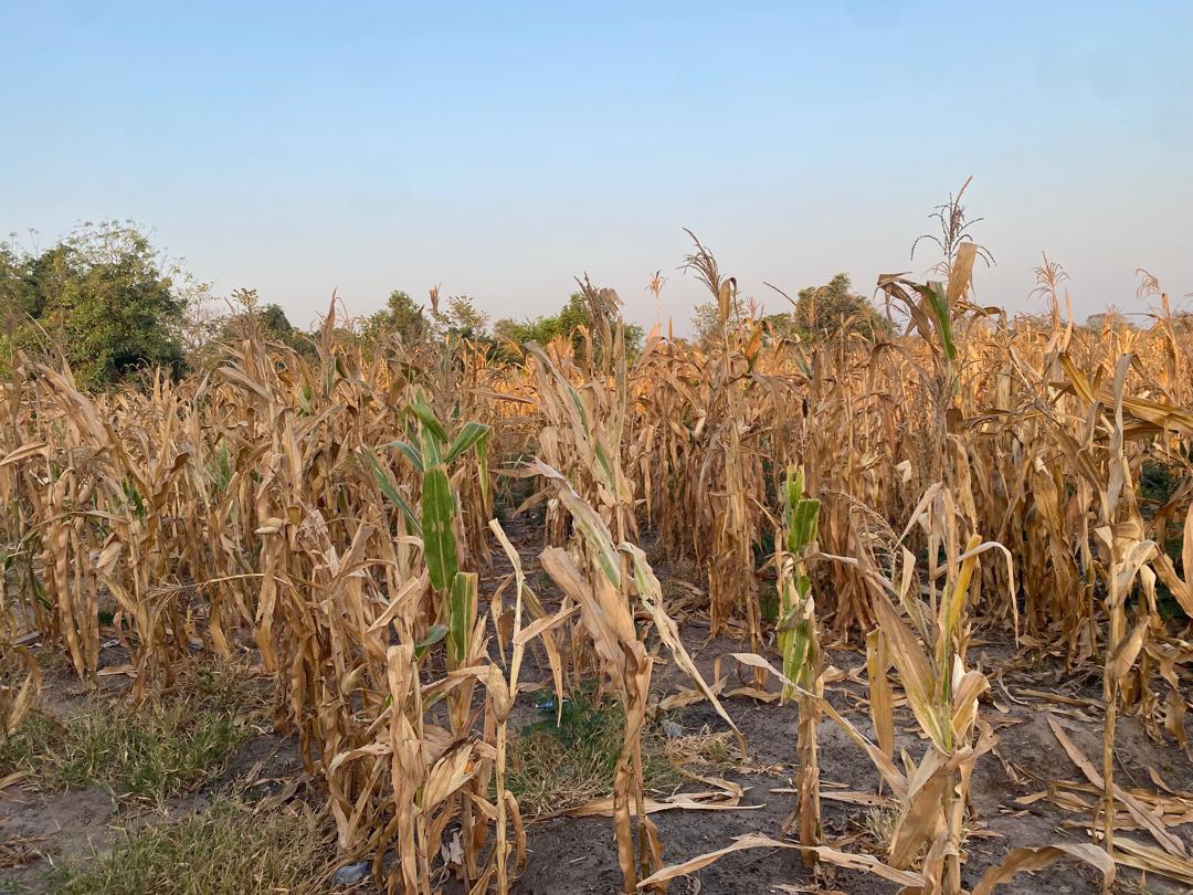 PHOTO-2024-12-26-20-34-29