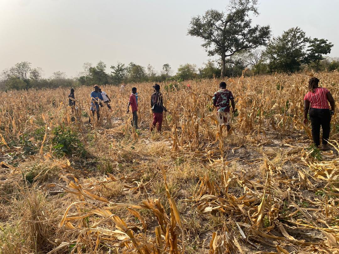 PHOTO-2025-01-13-19-21-22