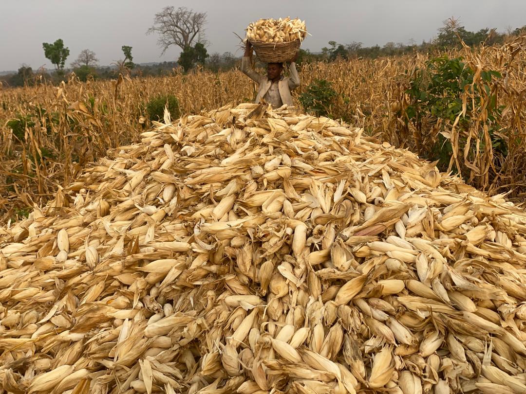 PHOTO-2025-01-19-19-14-25