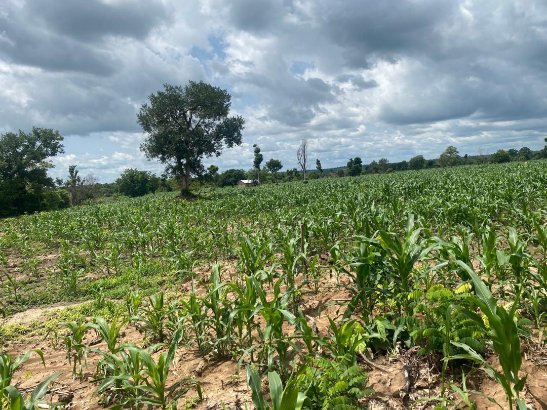 PHOTO-2025-05-30-14-10-46