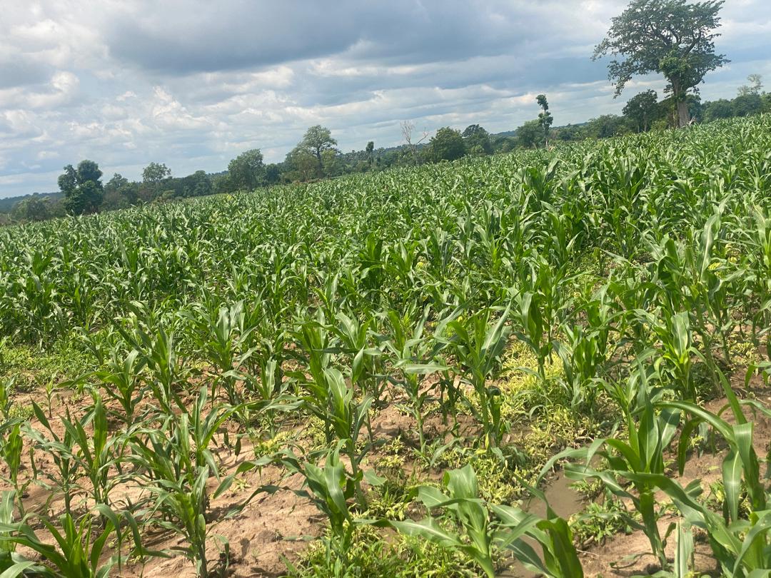 PHOTO-2025-05-30-14-10-47