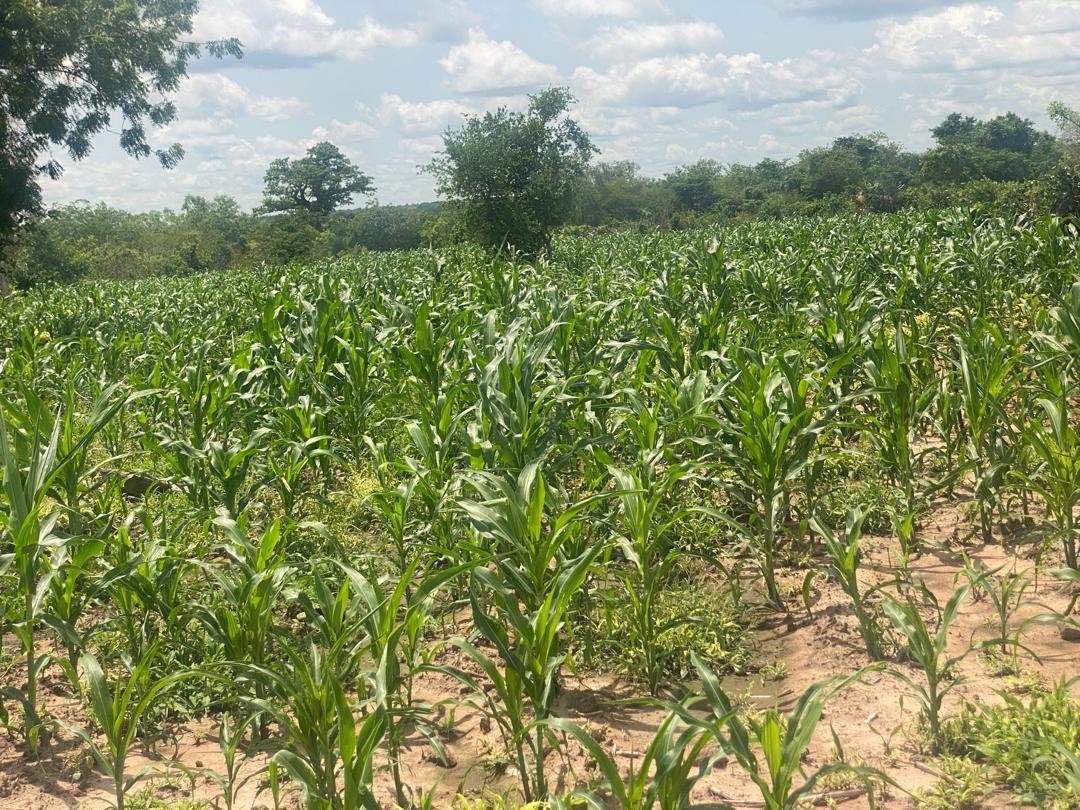 PHOTO-2025-05-30-14-10-49