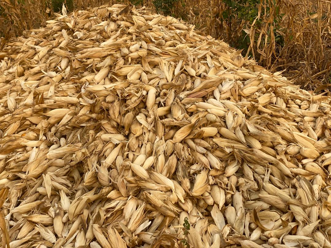 ab8e640f-bbd3-4bf8-b6a0-31e6893c47d4