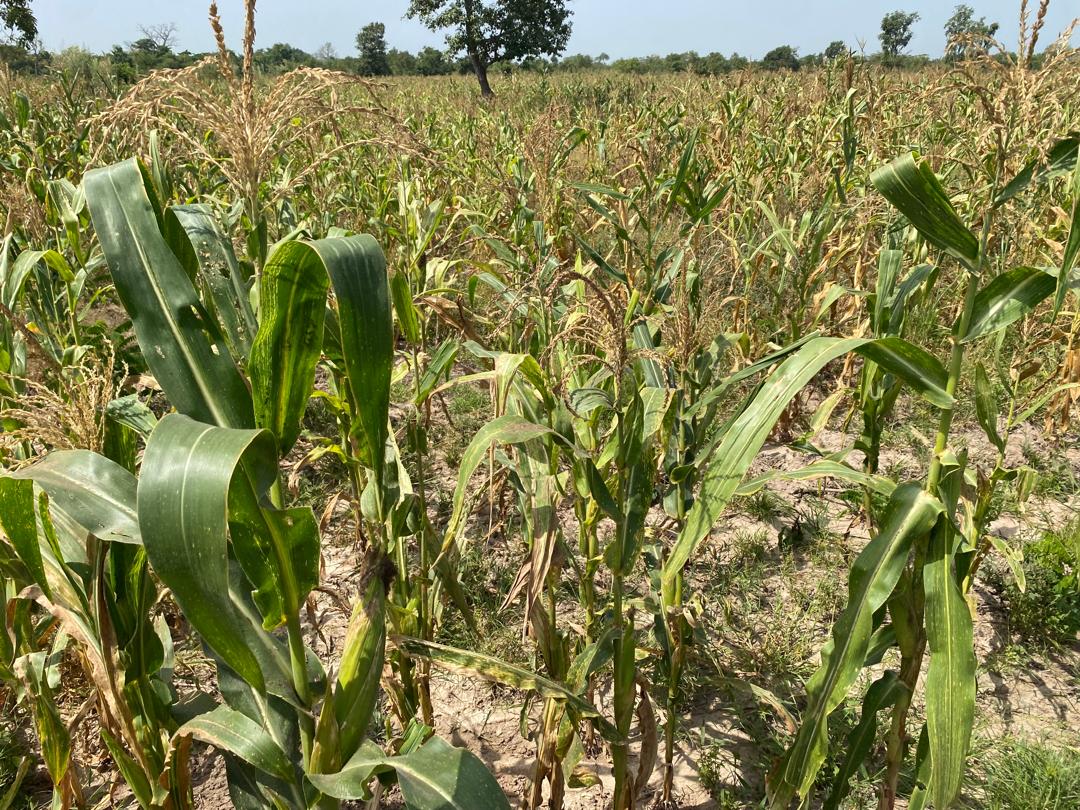 b3cdedb8-1d68-409b-9585-d7069cb7c288