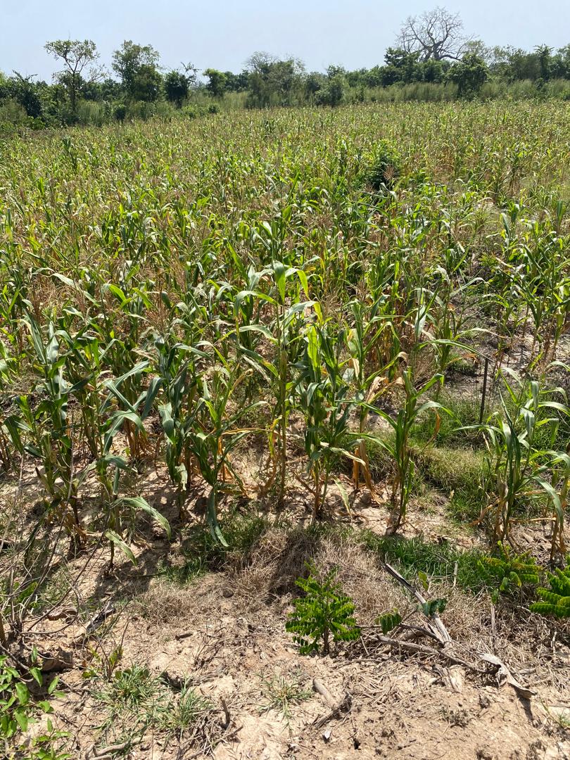 ba18f4f1-1b5f-4c83-9d22-4b5e3a0bbc03